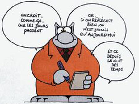 Le chat qui sen va tout seul texte
