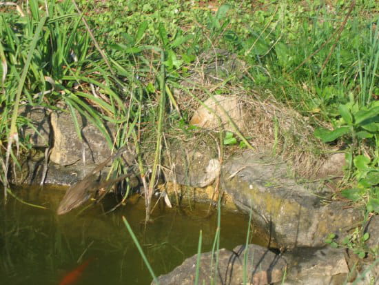 Les vêtements pour la pêche dhiver à krasnoyarske